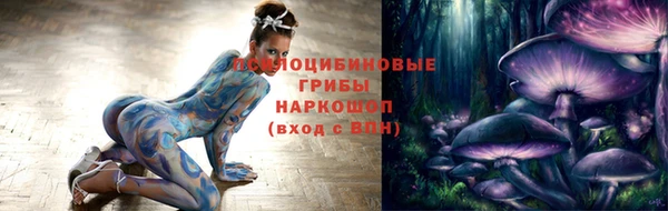 a pvp Няндома
