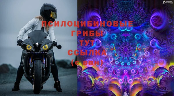 бошки Новодвинск