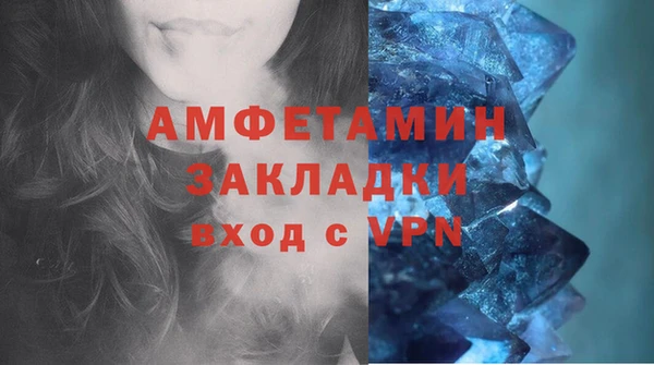 спиды Новозыбков
