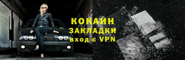 бошки Новодвинск