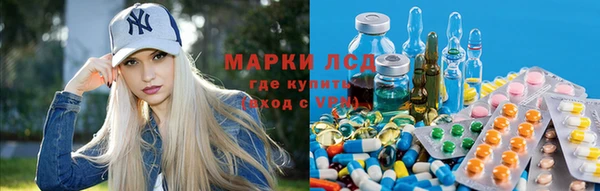 спиды Новозыбков