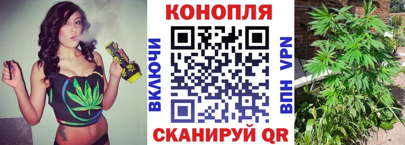 Каннабис тримм  сколько стоит  Белая Холуница 